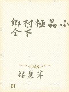 乡村极品小神医全本