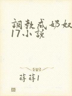 调教成奶奴1～17小说封面