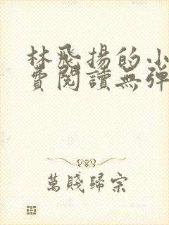 林飞扬的小说免费阅读无弹窗