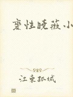 变性晓薇小说