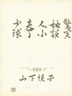 少夫人她惊艳全球了小说完整版本