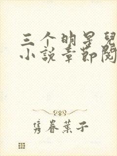 三个明星儿媳妇小说章节阅读免费全文封面
