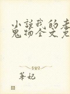 小说我的老公是鬼物全文免费阅读