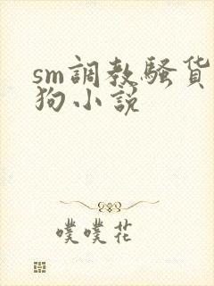 sm调教骚货母狗小说