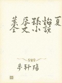 叶辰孙怡夏若雪全文小说封面