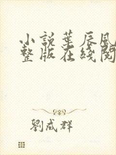 小说叶辰风流完整版在线阅读无弹窗封面