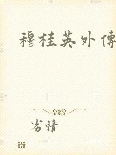 穆桂英外传