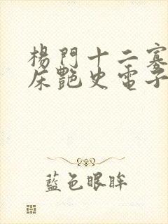 杨门十二寡妇肉床艳史电子书