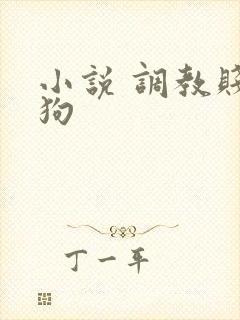 小说 调教贱母狗封面