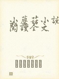 小蘑菇小说免费阅读全文