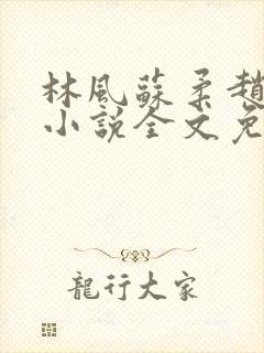林风苏柔赵刚的小说全文免费阅读无弹窗