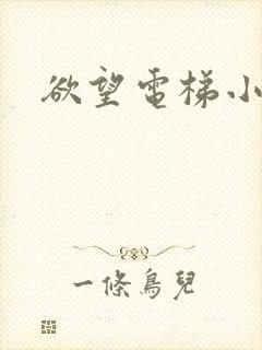 欲望电梯小说