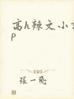 高h辣文小说np