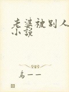 老婆被别人操的小说封面