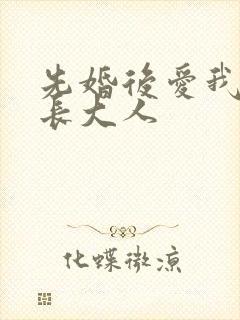 先婚后爱我的市长大人封面