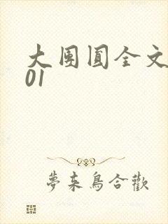 大团圆全文阅读01封面