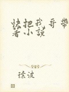 快把我哥带走原著小说