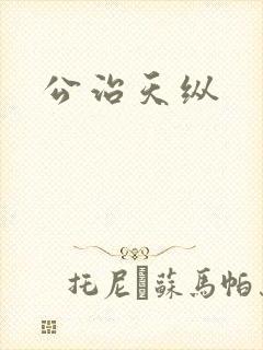 公治天纵封面