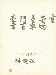 豪门养子重生日常有车吗