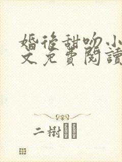 婚后甜吻小说全文免费阅读无弹窗