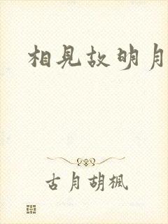 相见故明月