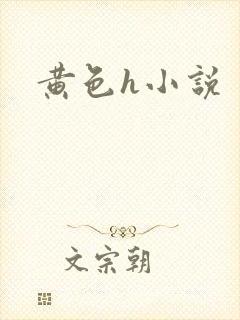 黄色h小说