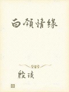 白领情缘