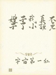 嫂子我真不是傻子了小说免费阅读全文无弹窗