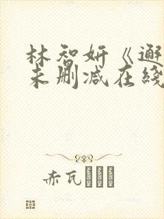 林智妍《邂逅》未删减在线观看
