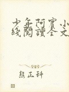 少年阿宾小说在线阅读全文无删减