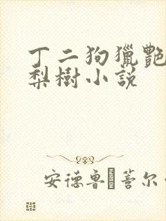 丁二狗猎艳人生梨树小说