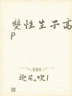 双性生子高hnp