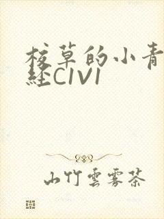 校草的小青梅不经C1V1