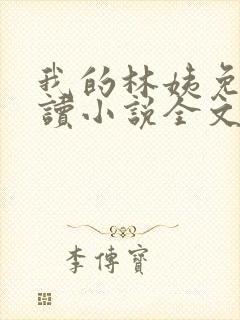 我的林姨免费阅读小说全文封面