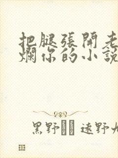 把腿张开老子臊烂你的小说