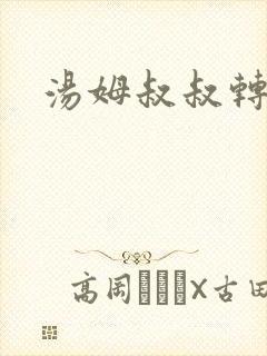 汤姆叔叔转接口