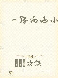 一路向西小说