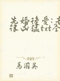 先婚后爱:老公很凶猛txt全文下载