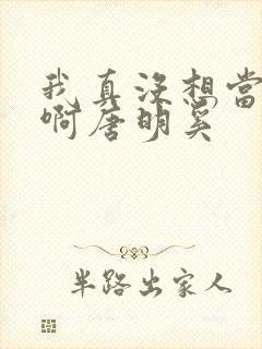 我真没想当反派啊唐明奚