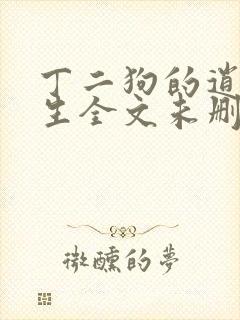 丁二狗的逍遥人生全文未删减封面