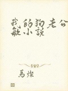我的狗老公李淑敏小说