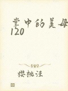 掌中的美母版主120封面