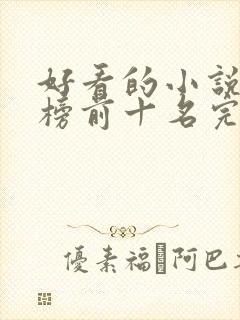 好看的小说排行榜前十名完结版