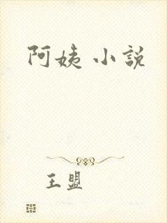阿姨 小说