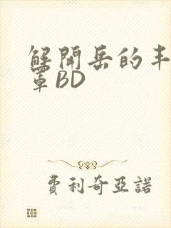 解开岳的丰满奶罩BD
