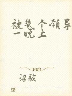 被几个领导玩弄一晚上