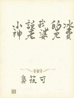 小说我的冰山女神老婆免费阅读