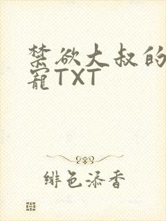 禁欲大叔的心尖宠TXT封面