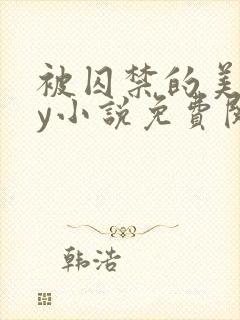 被囚禁的美人by小说免费阅读封面