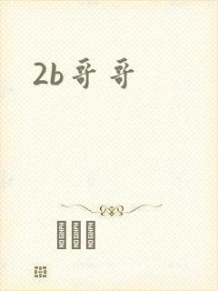 2b哥哥封面